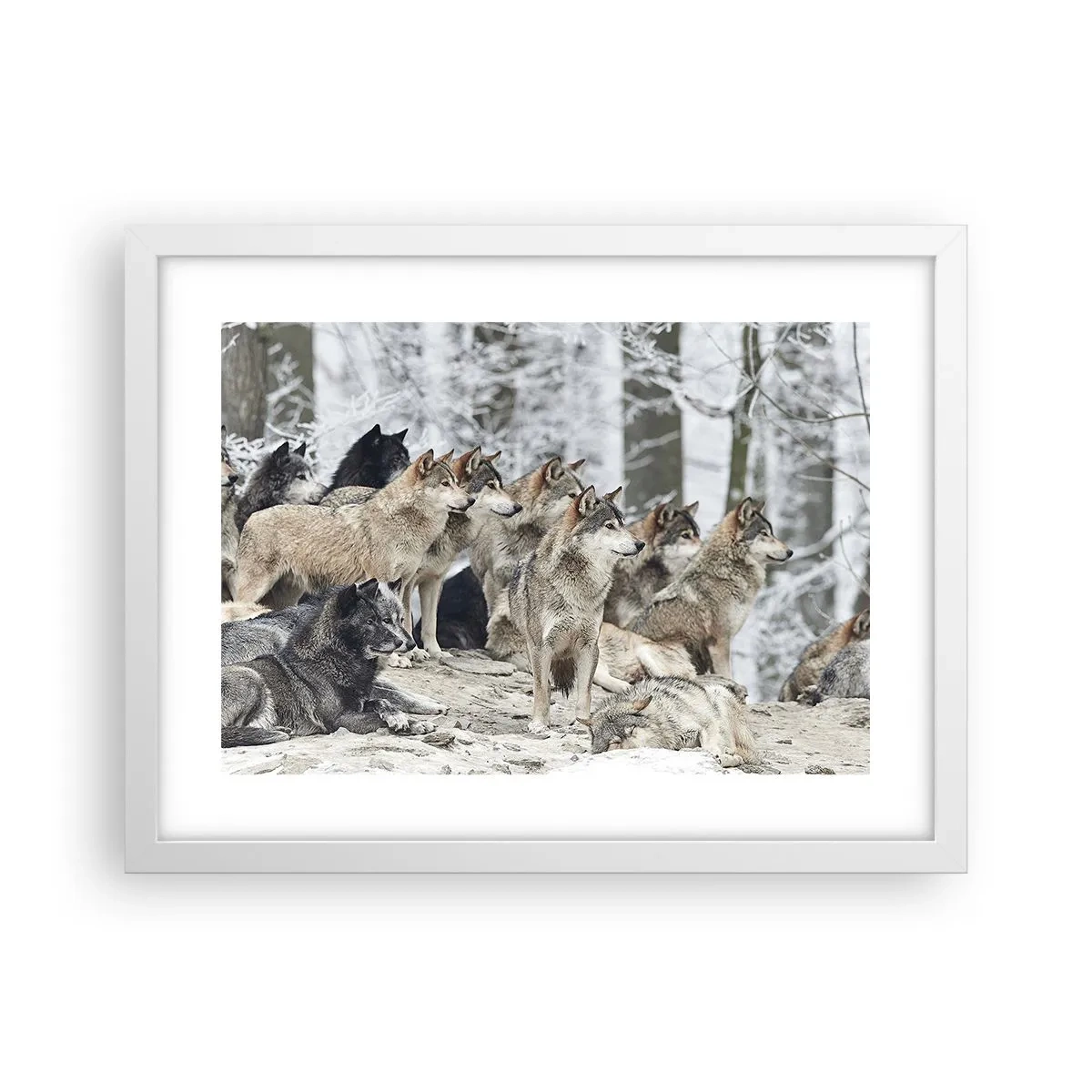Poster in white frmae - Family and Friends - 40x30 cm