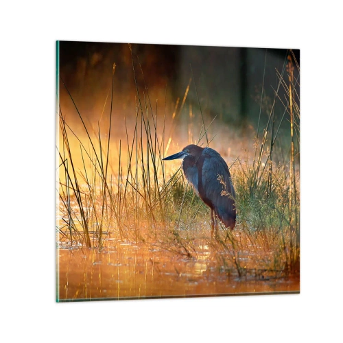 Glass picture - Stop Taking Pictures - 50x50 cm