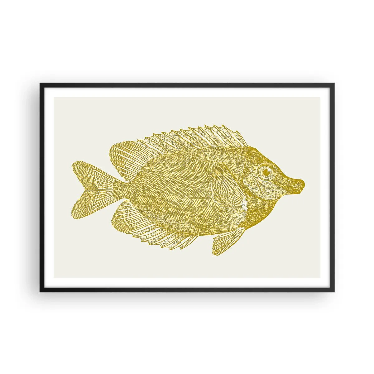 Poster in black frame - Just a Fish - 100x70 cm