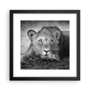 Poster in black frame - Royal Puppy - 30x30 cm