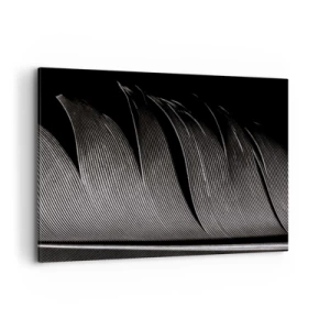 Canvas picture - Feather - Wonderful Constract - 100x70 cm