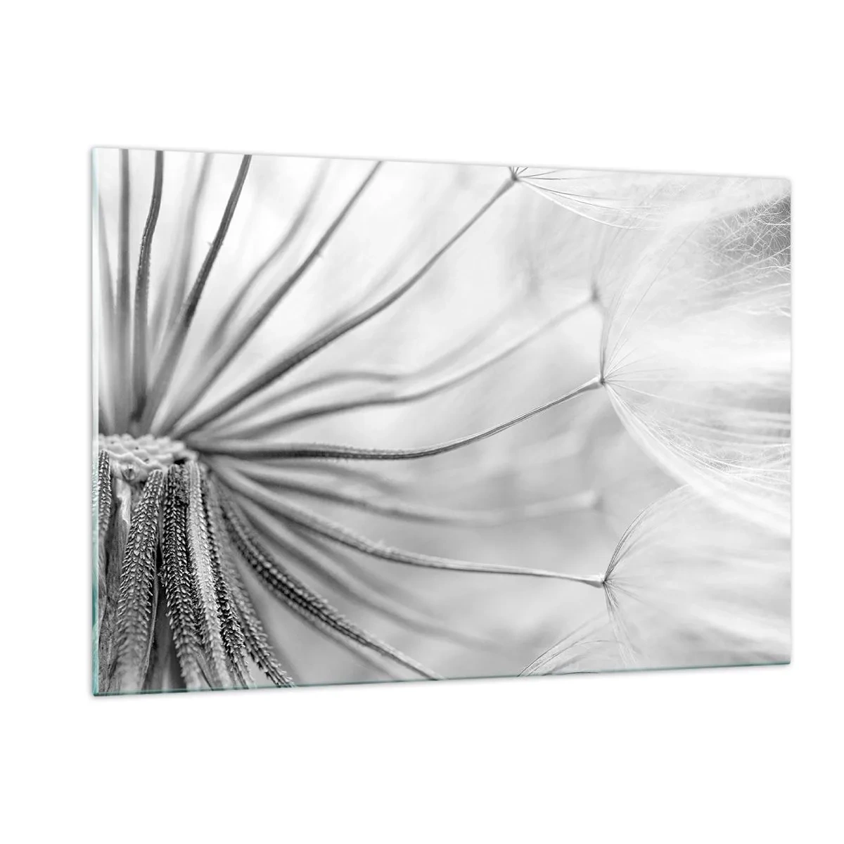 Glass picture - Dandelion Kites - 120x80 cm