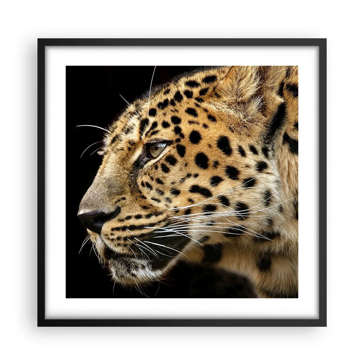 Poster in black frame - Calm, Focused, Ready - 50x50 cm