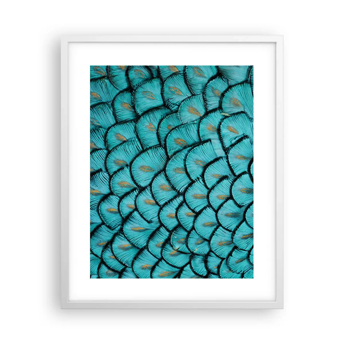 Poster in white frmae - Great Feather Gala - 40x50 cm