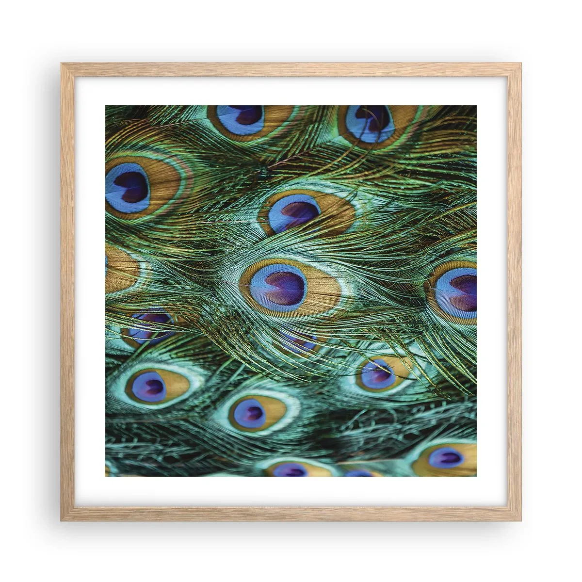 Poster in light oak frame - Peacock Eyes - 50x50 cm