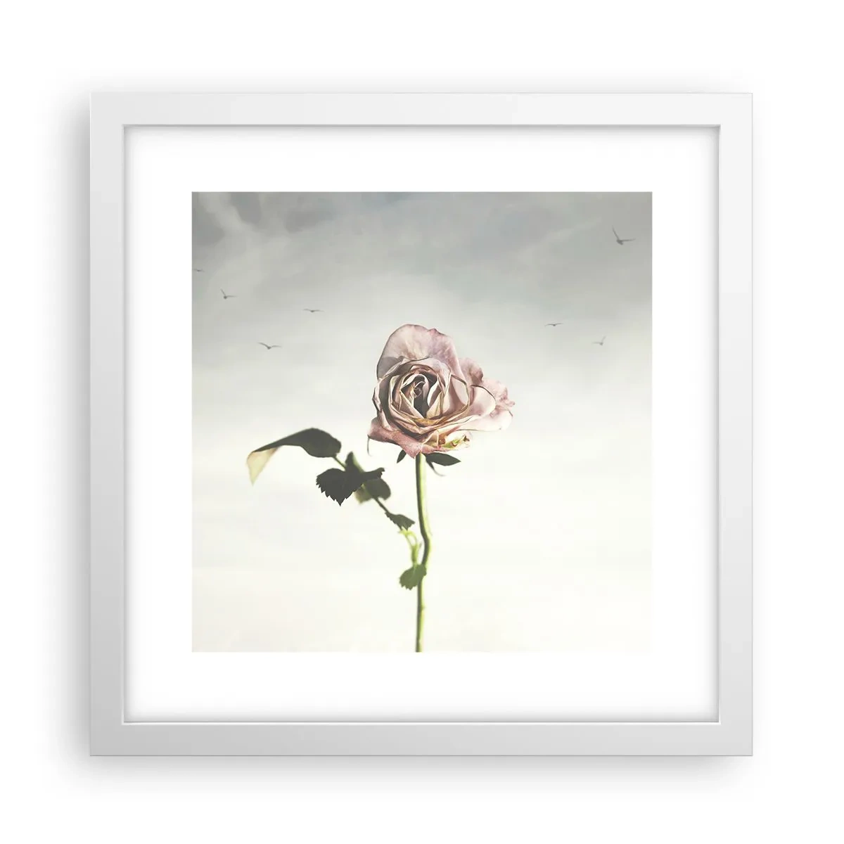 Poster in white frmae - Welcoming of Spring - 30x30 cm