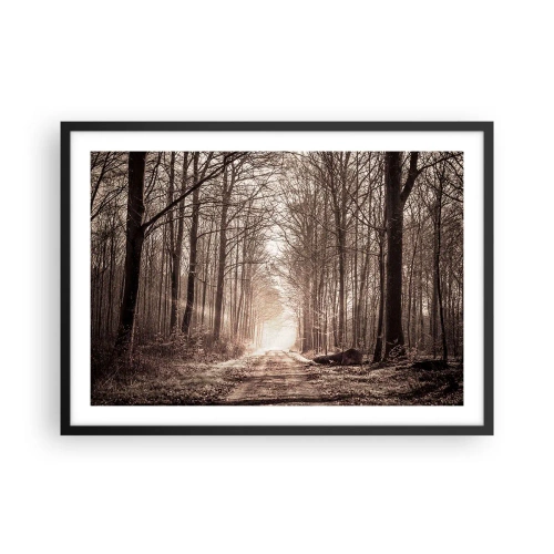 Poster in black frame - Cathedral of the Forest - 70x50 cm