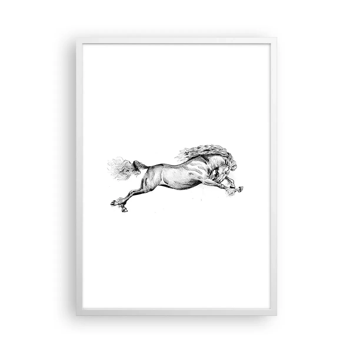 Poster in white frmae - Stopped at a Gallop - 50x70 cm