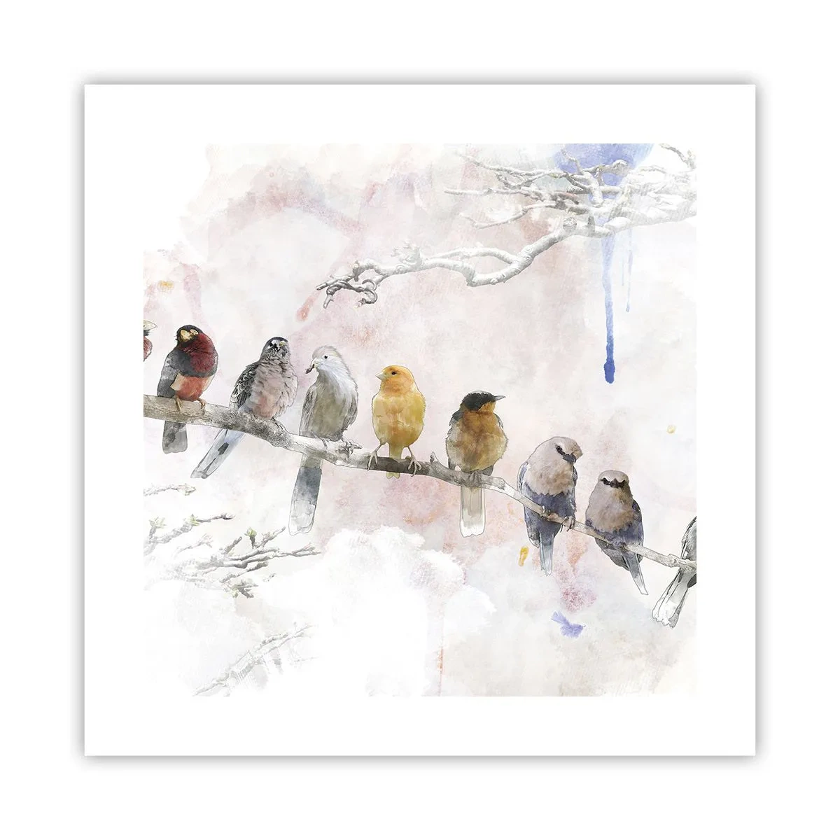 Poster - Winged Encounter - 40x40 cm