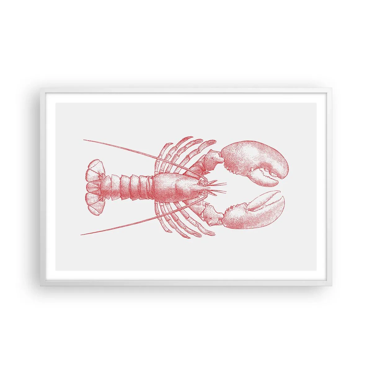 Poster in white frmae - Lobster Worthy of a Lobster - 91x61 cm