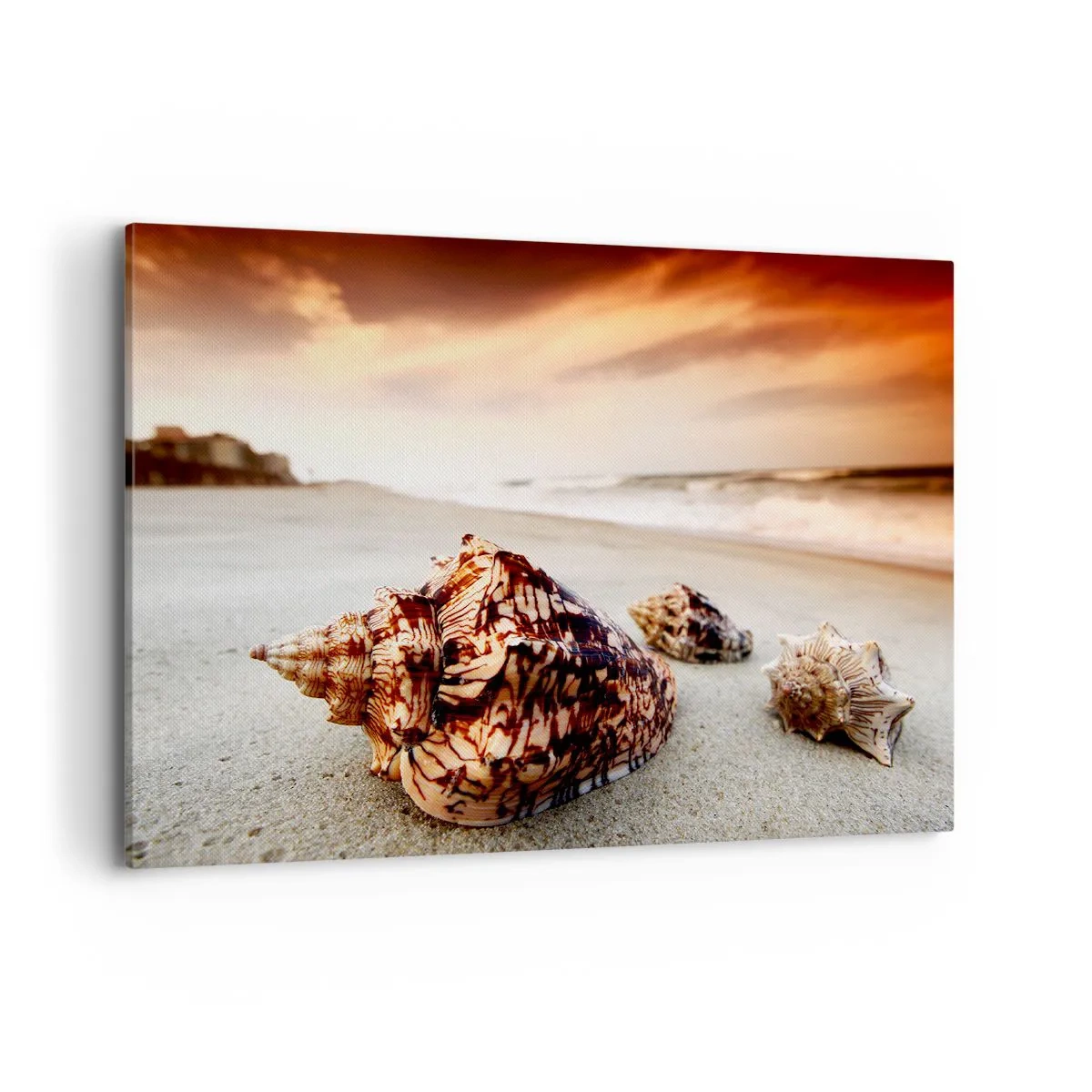 Canvas picture - Expelled by Waves - 100x70 cm