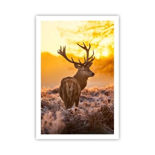 Poster - King of Autumnal Forest - 61x91 cm