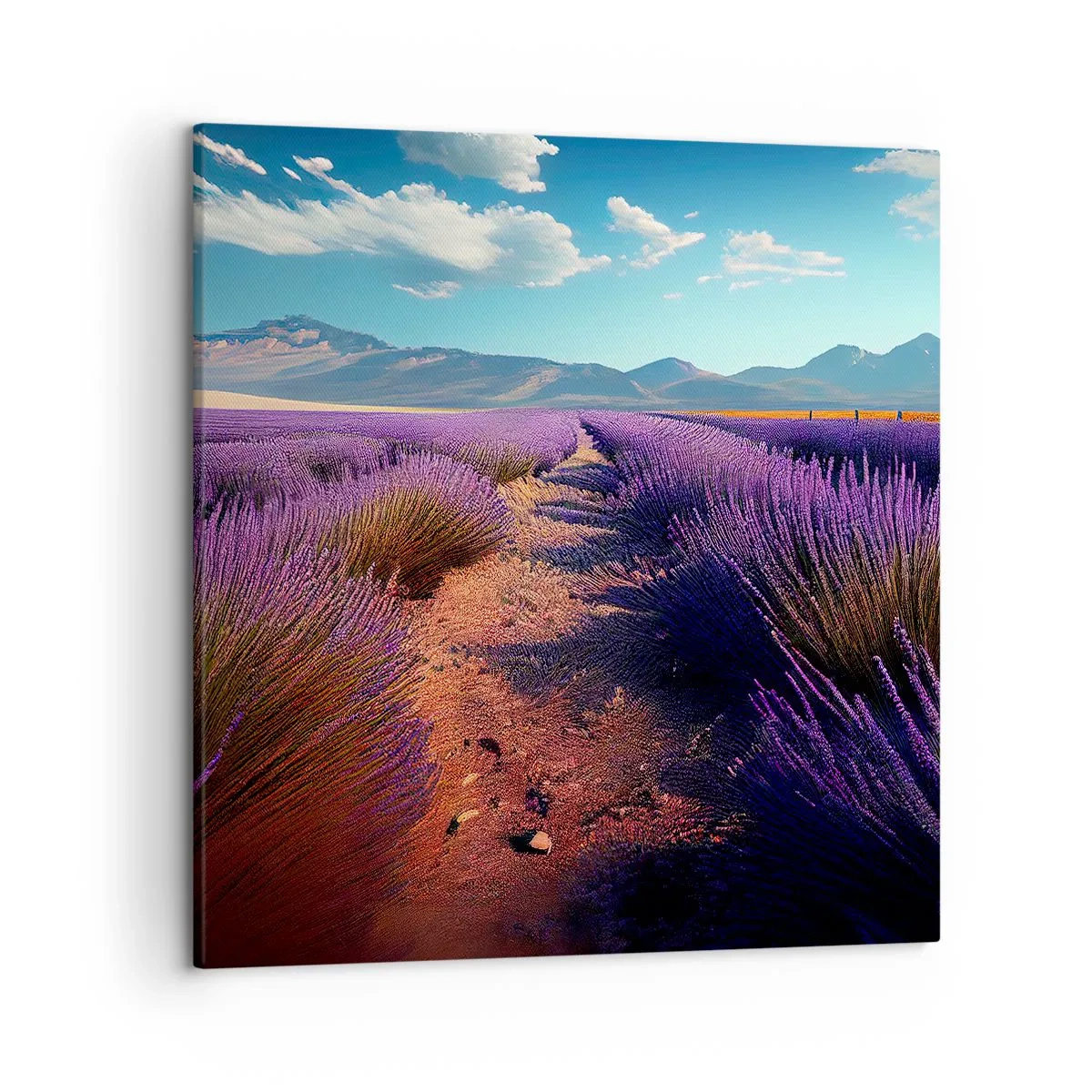 Canvas picture - Fragrant Fields - 50x50 cm