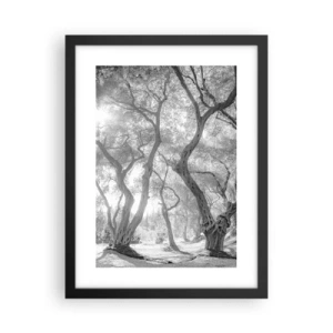 Poster in black frame - In an Olive Grove - 30x40 cm