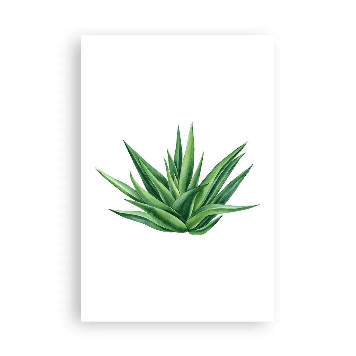 Poster - Green - Power - Life - 61x91 cm