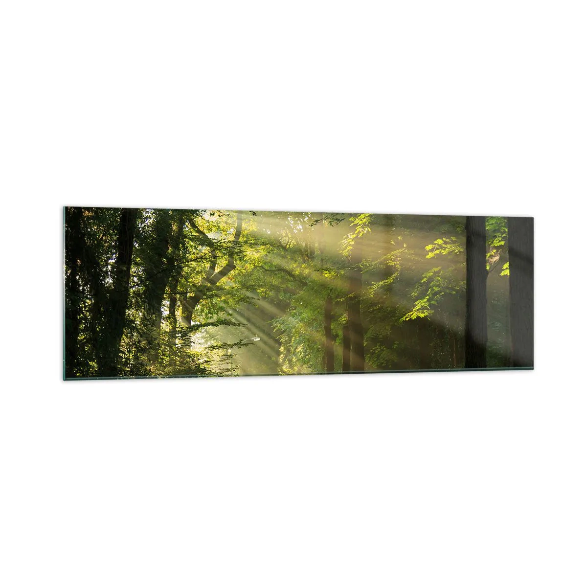 Glass picture - Forest Moment - 160x50 cm