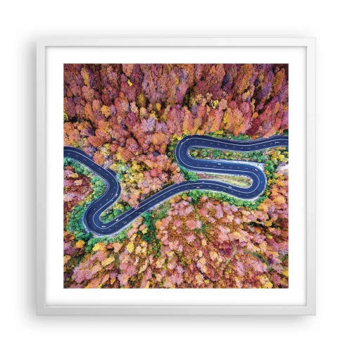 Poster in white frmae - Winding Path through a Forest - 50x50 cm