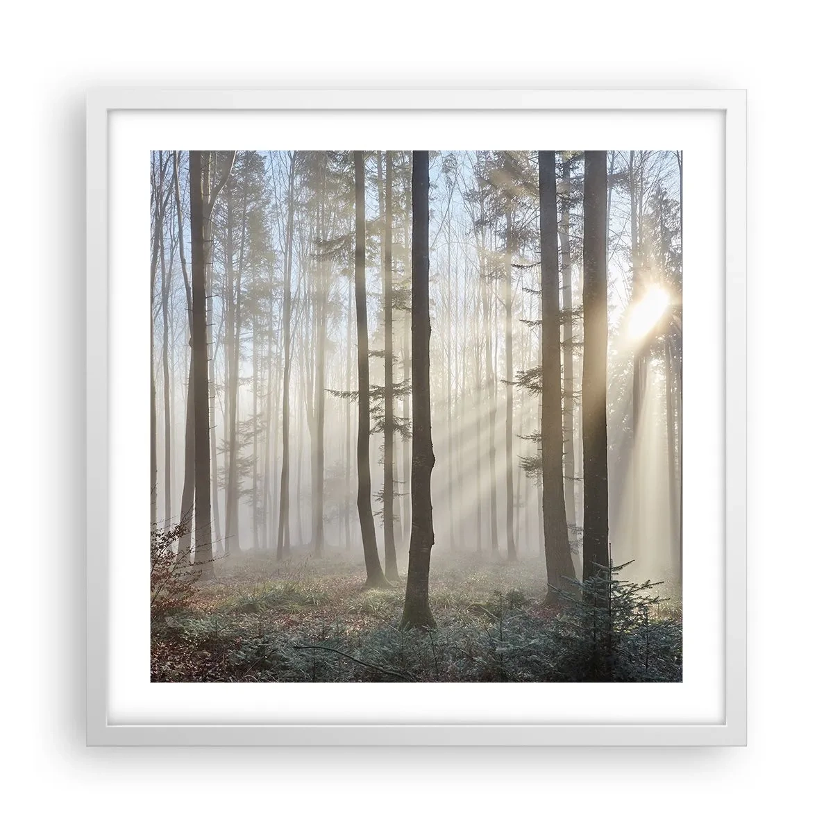 Poster in white frmae - Fog Has Woken up Too - 50x50 cm