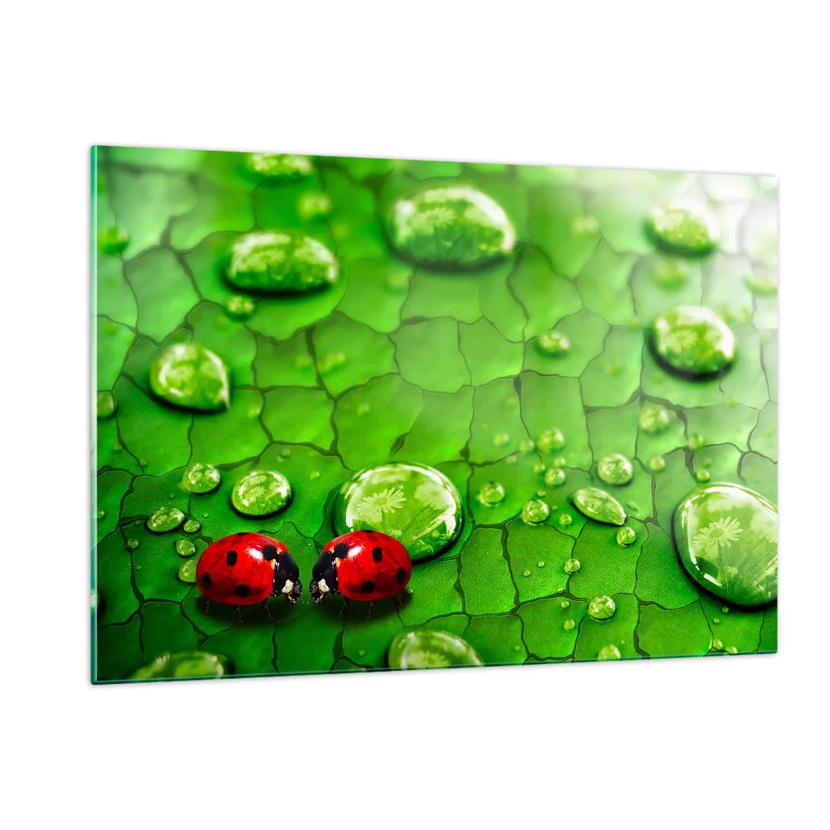 Glass picture - Encounter in Green - 120x80 cm