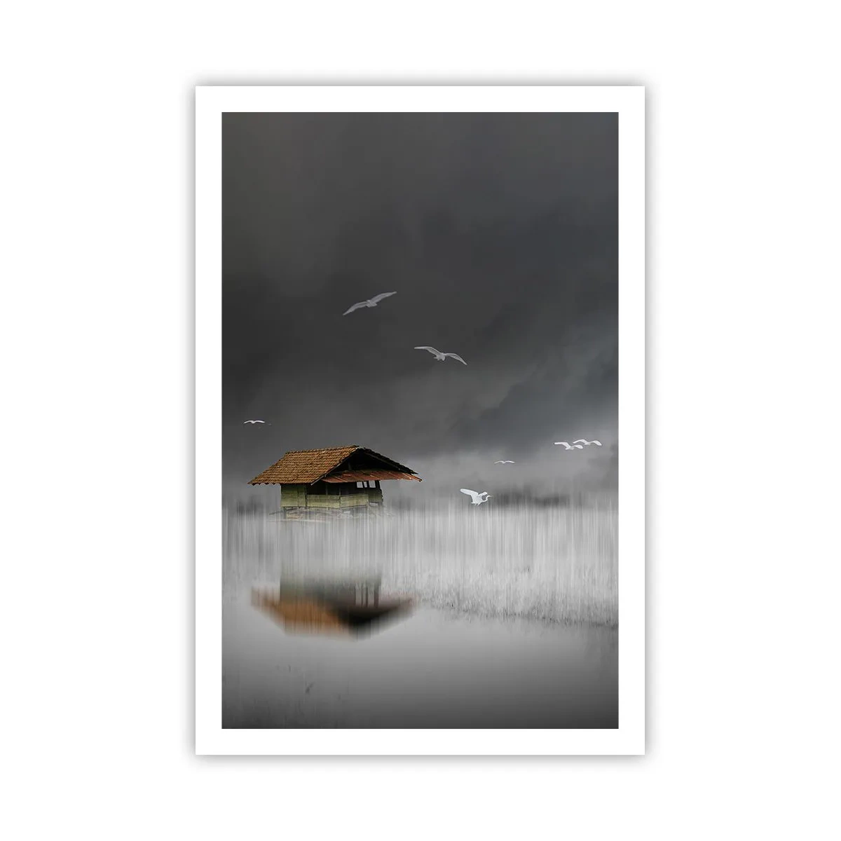 Poster - Shelter from the Rain - 61x91 cm