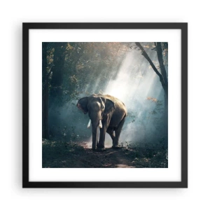 Poster in black frame - Quiet Stroll - 40x40 cm