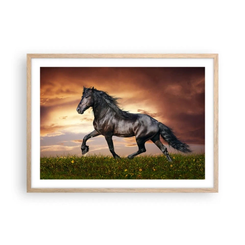 Poster in light oak frame - Black Prince - 70x50 cm