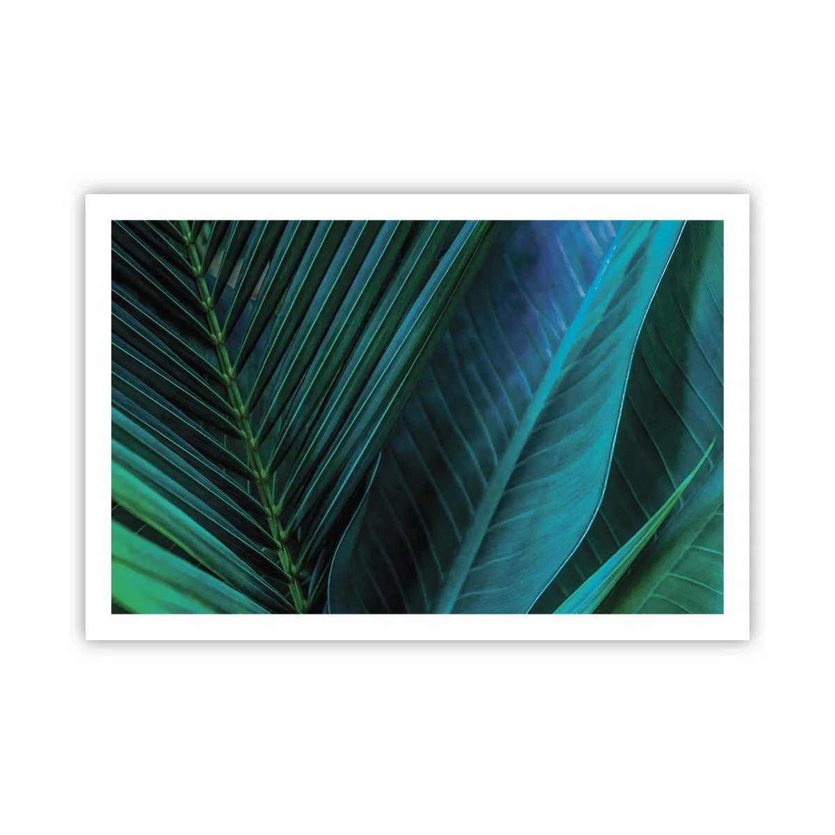 Poster - Anatomy of Green - 91x61 cm