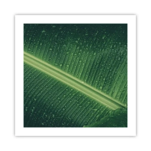 Poster - Structure of Green - 50x50 cm