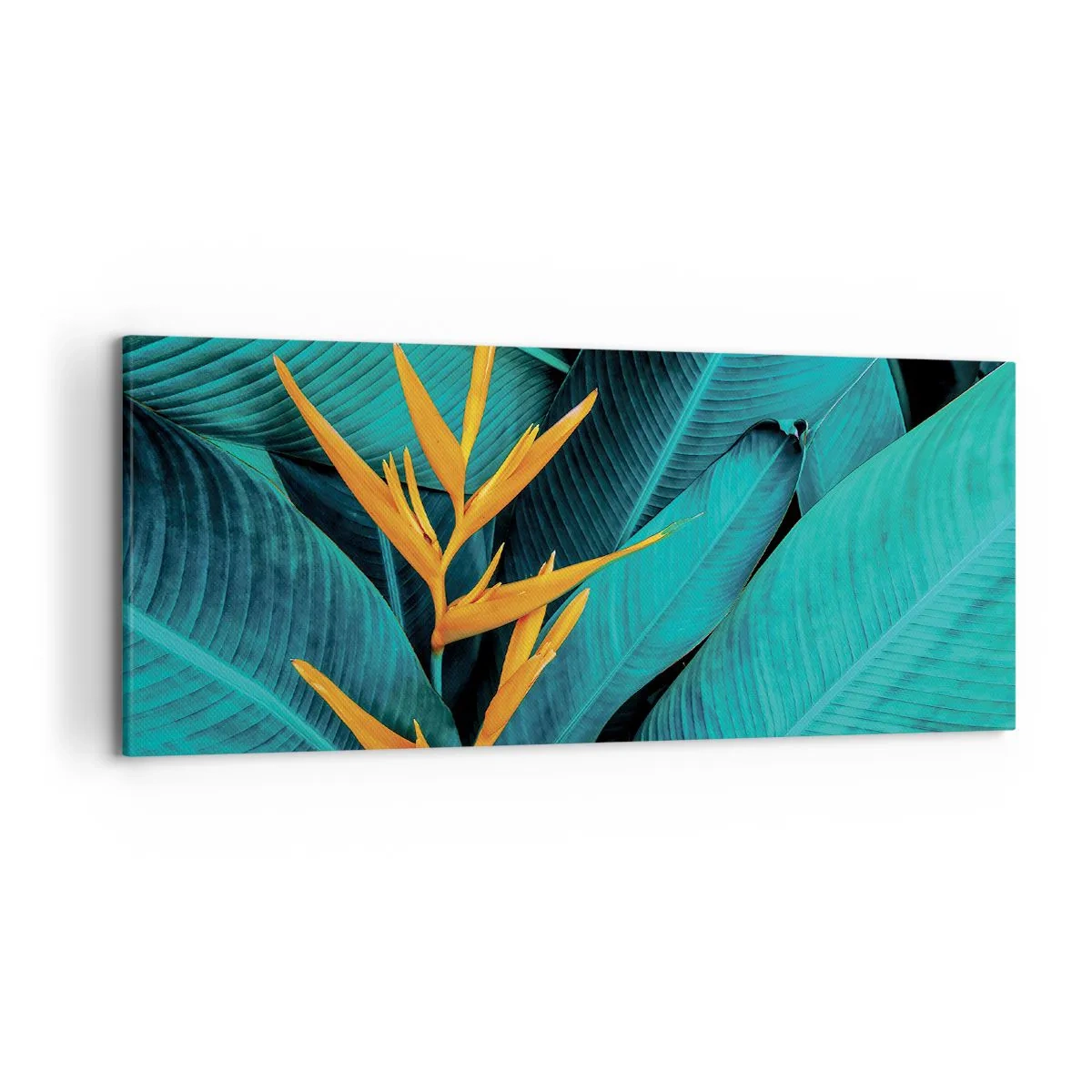 Canvas picture - Flower of Eden - 120x50 cm