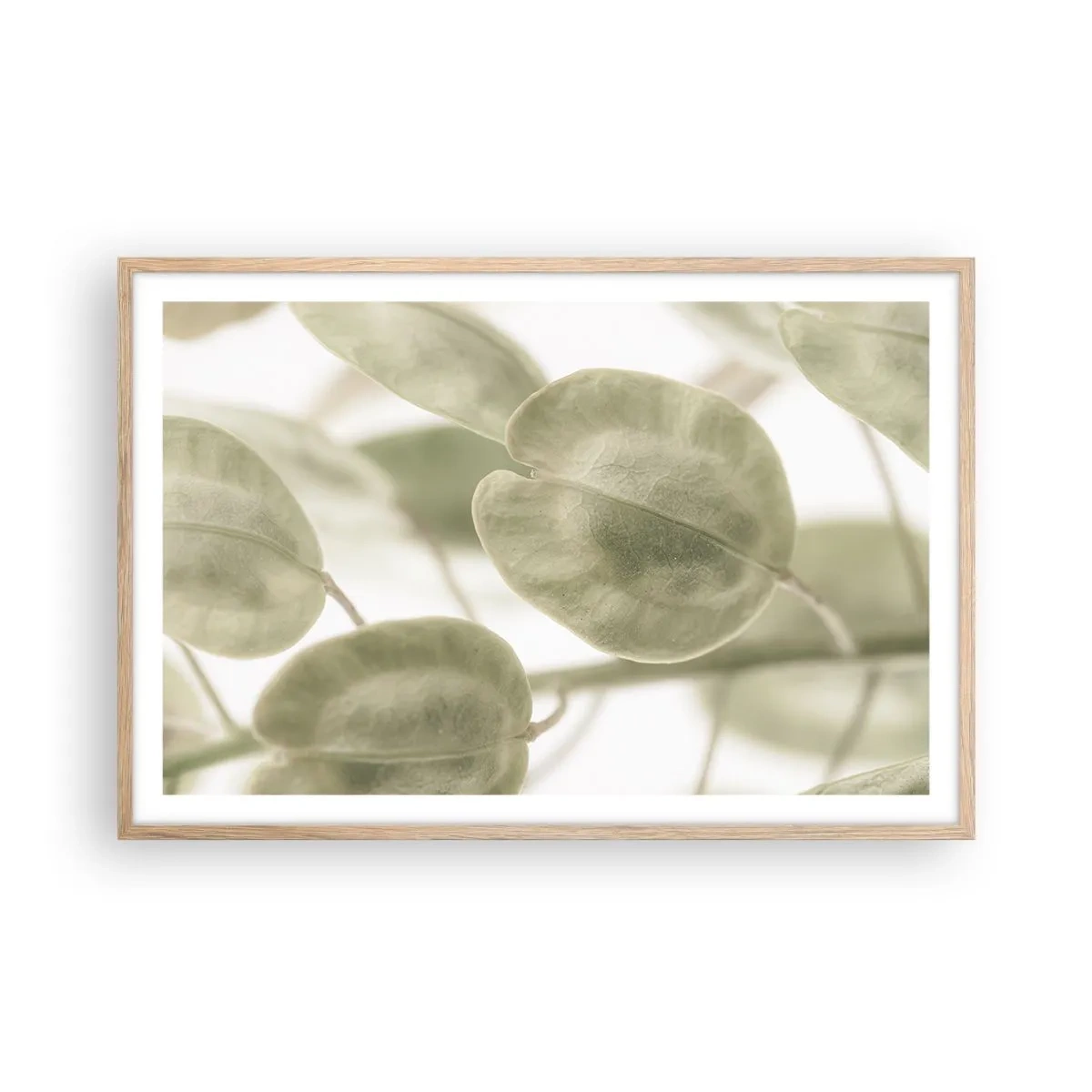 Poster in light oak frame - In the Beginning There Were Leaves… - 91x61 cm