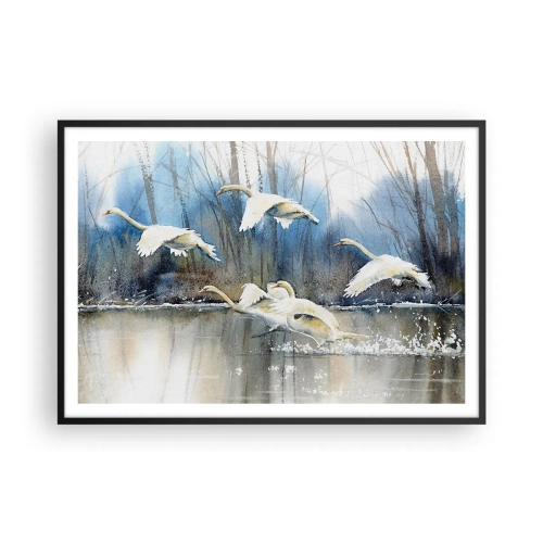 Poster in black frame - Like in a Fairy Tale about Wild Swans - 100x70 cm
