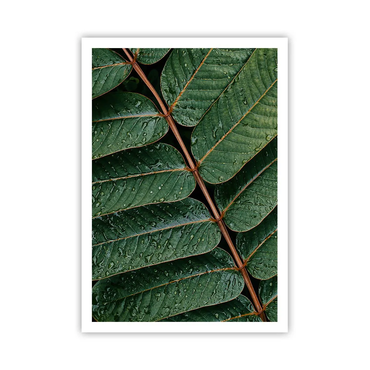 Poster - In Green Rhythm - 70x100 cm