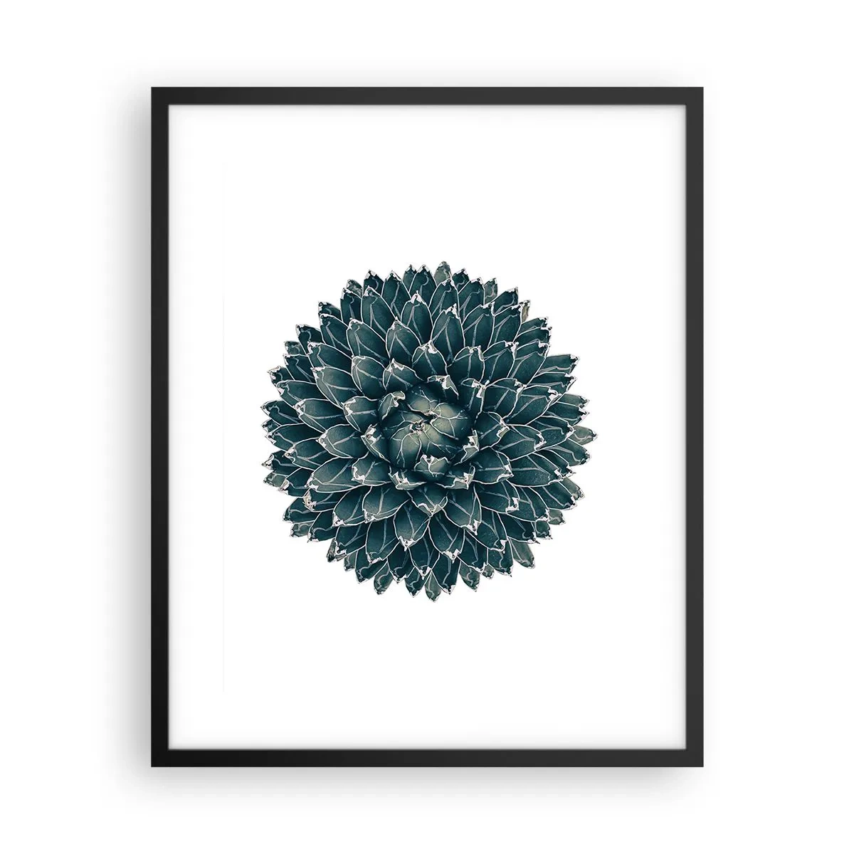 Poster in black frame - Star of the Desert - 40x50 cm