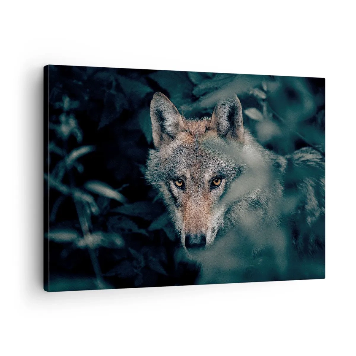 Canvas picture - A wolf in its natural setting, looking out from the depths of the forest. - 70x50cm - Hunter - Modern wall decoration for the living room and bedroom ARTTOR