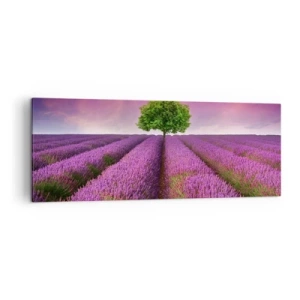 Canvas picture - In the Fields of Lavender - 140x50 cm