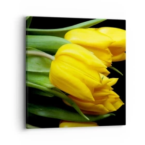 Canvas picture - Born from the Sun - 40x40 cm