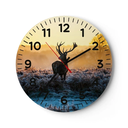 Wall clock - Clock on glass - Crowned in Its Kingdom - 40x40 cm