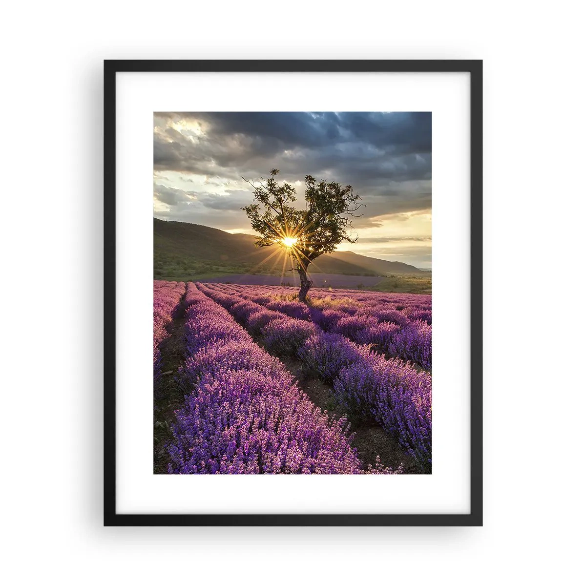 Poster in black frame - Lilac Coloured Aroma - 40x50 cm