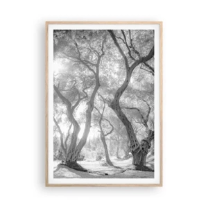 Poster in light oak frame - In an Olive Grove - 70x100 cm