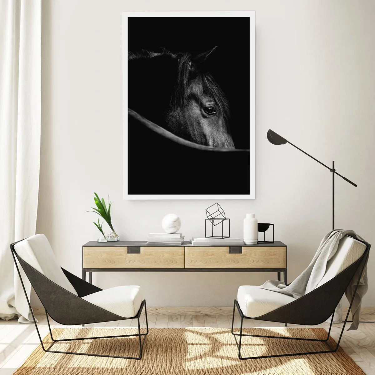 Poster - Black Prince - 50x70 cm