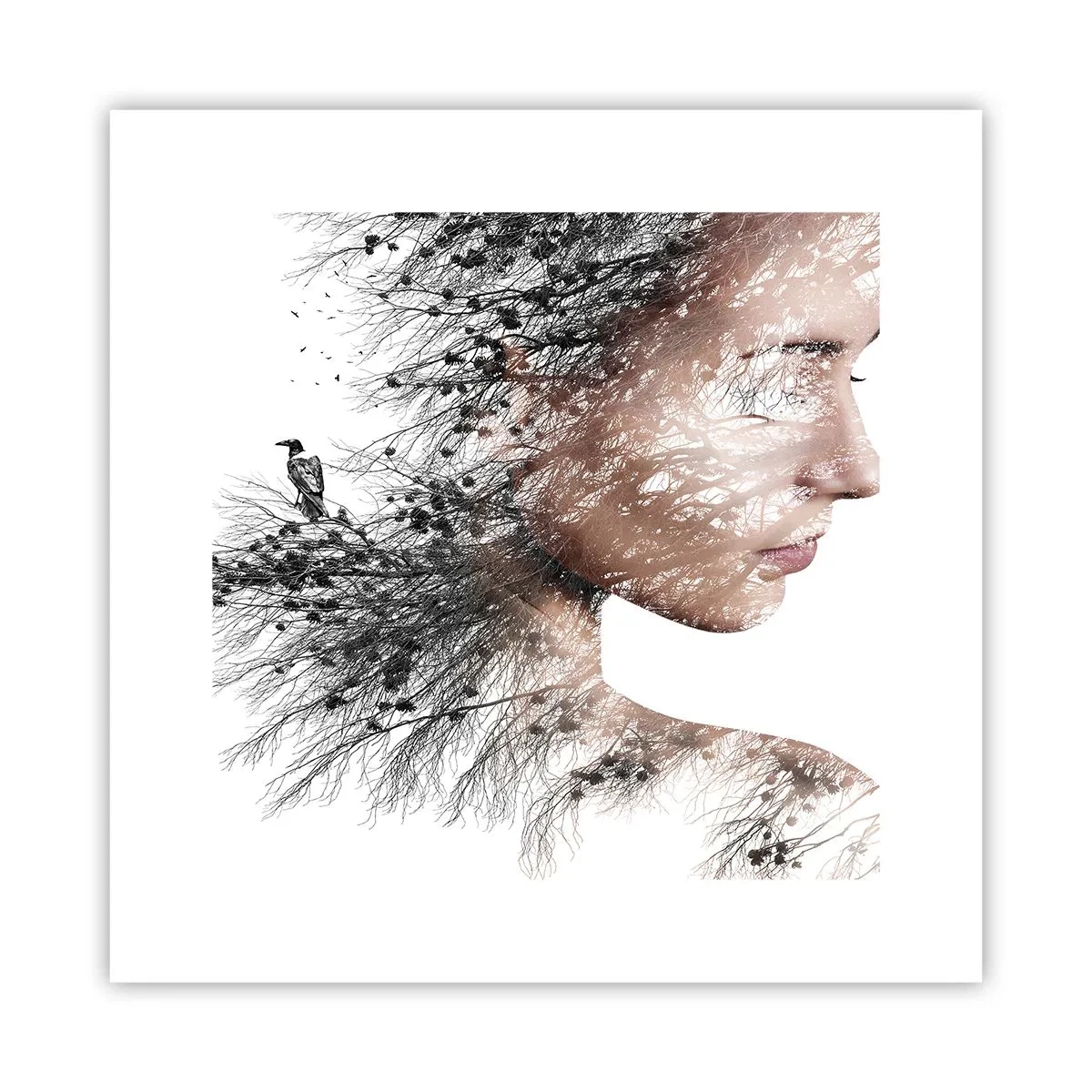 Poster - Spirit of a Forest - 30x30 cm