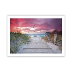 Poster - Baltic Impression - 70x50 cm