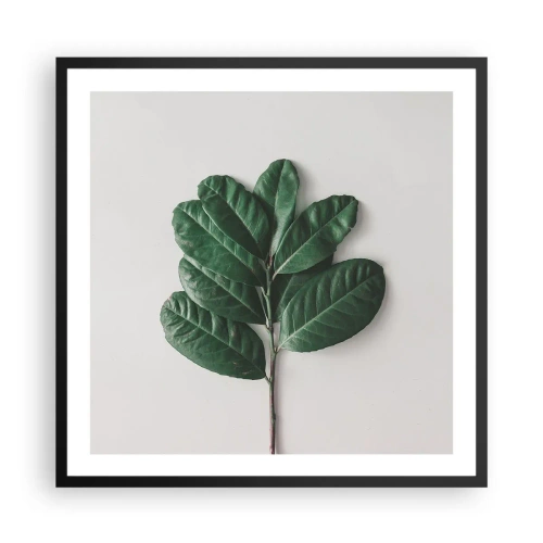 Poster in black frame - Drawing of Nature Itself - 60x60 cm