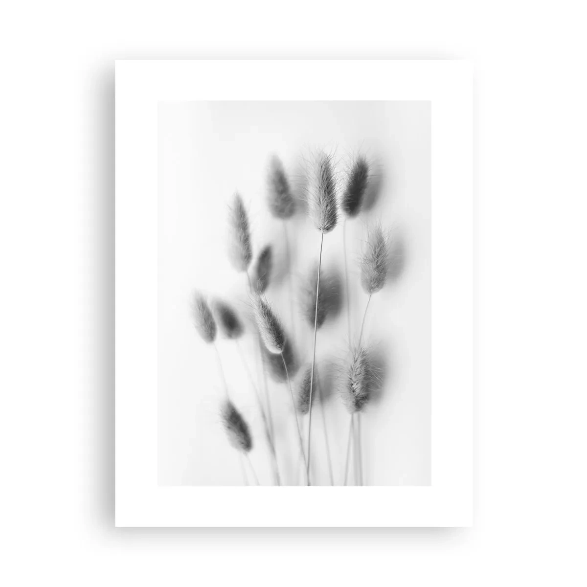 Poster - Her Softness Grass - 30x40 cm
