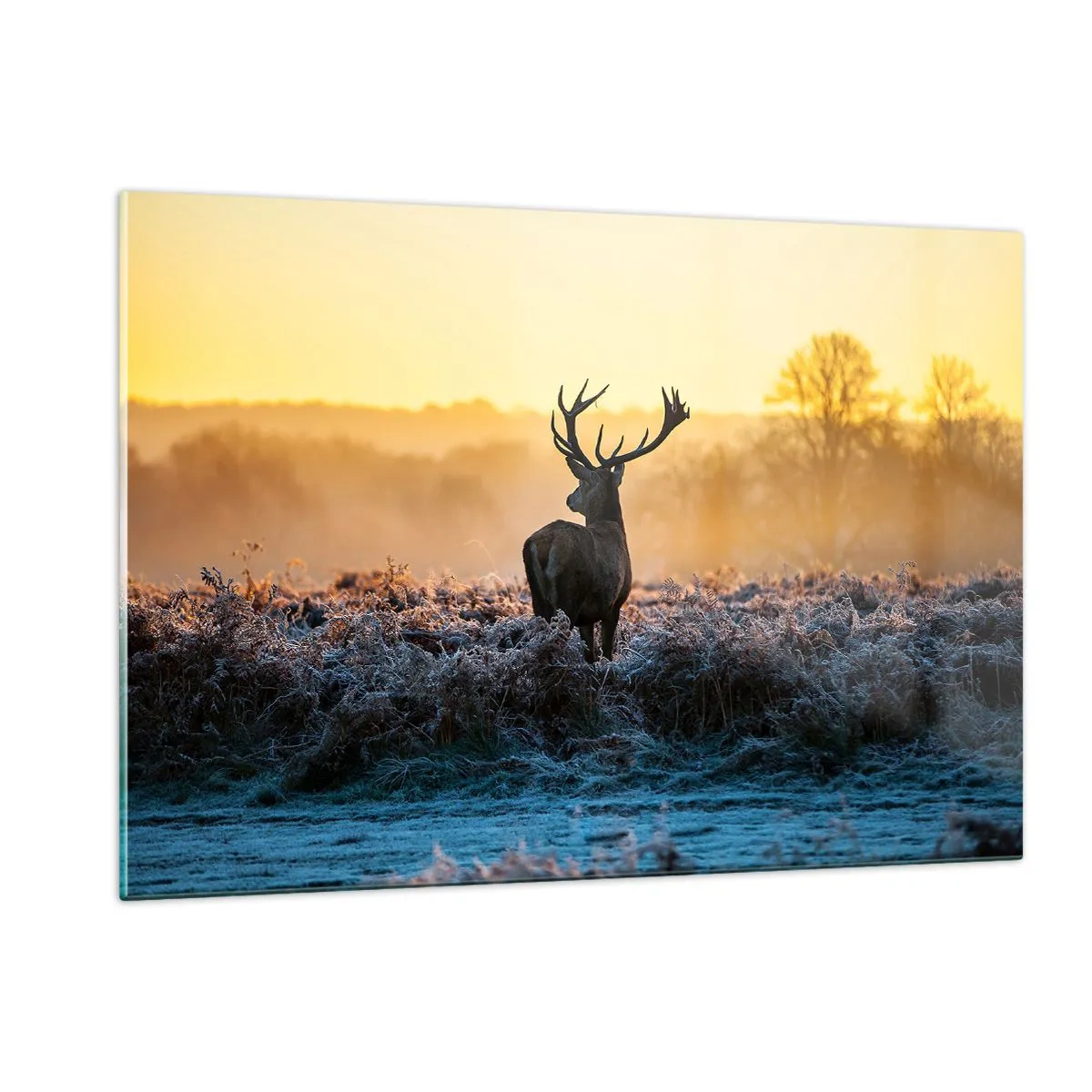 Glass picture - Crowned in Its Kingdom - 120x80 cm