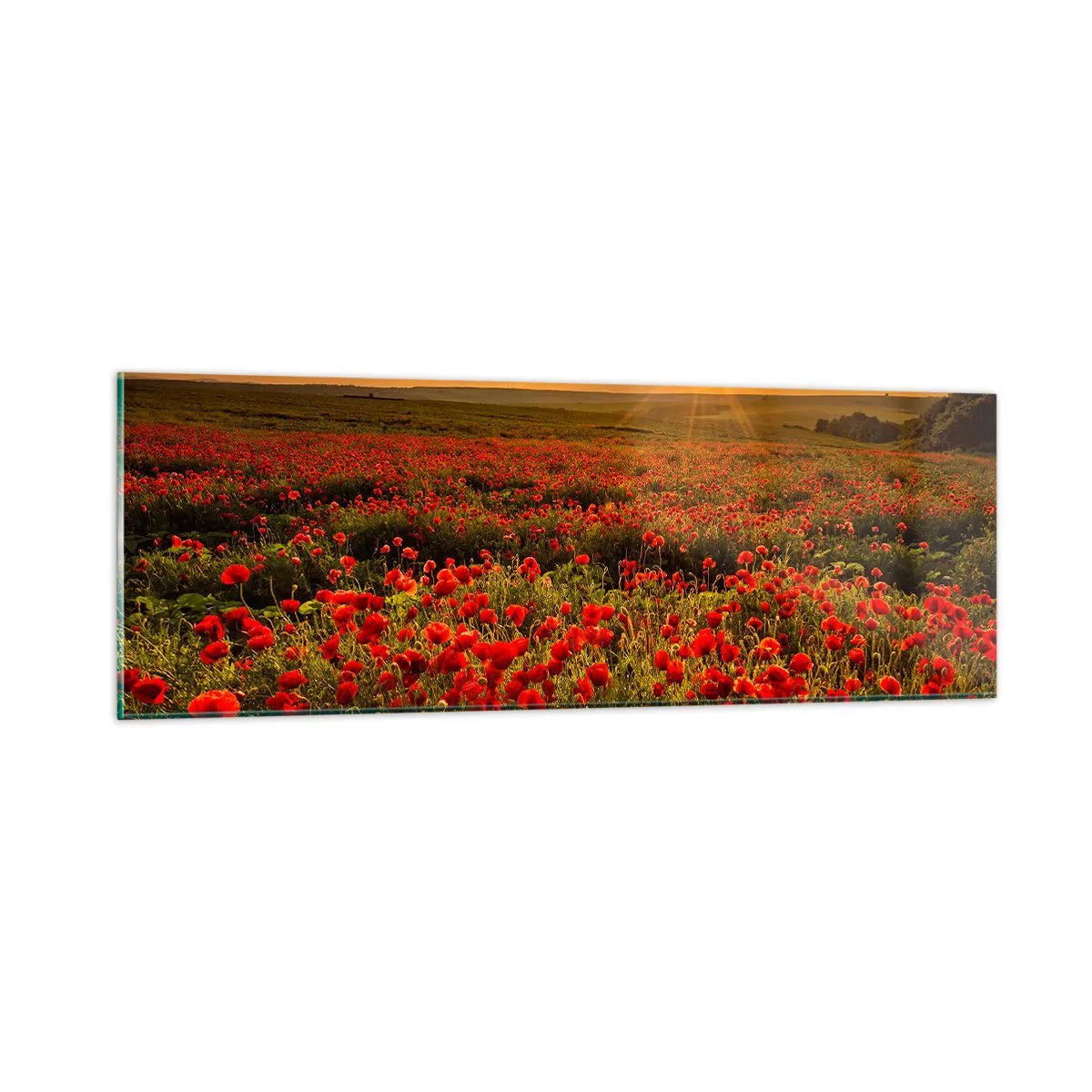 Glass picture - In the Meadow, among Flood of Flowers - 90x30 cm
