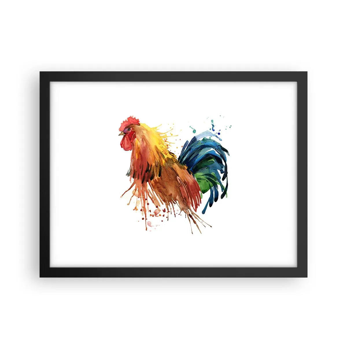 Poster in black frame - King Rooster - 40x30 cm