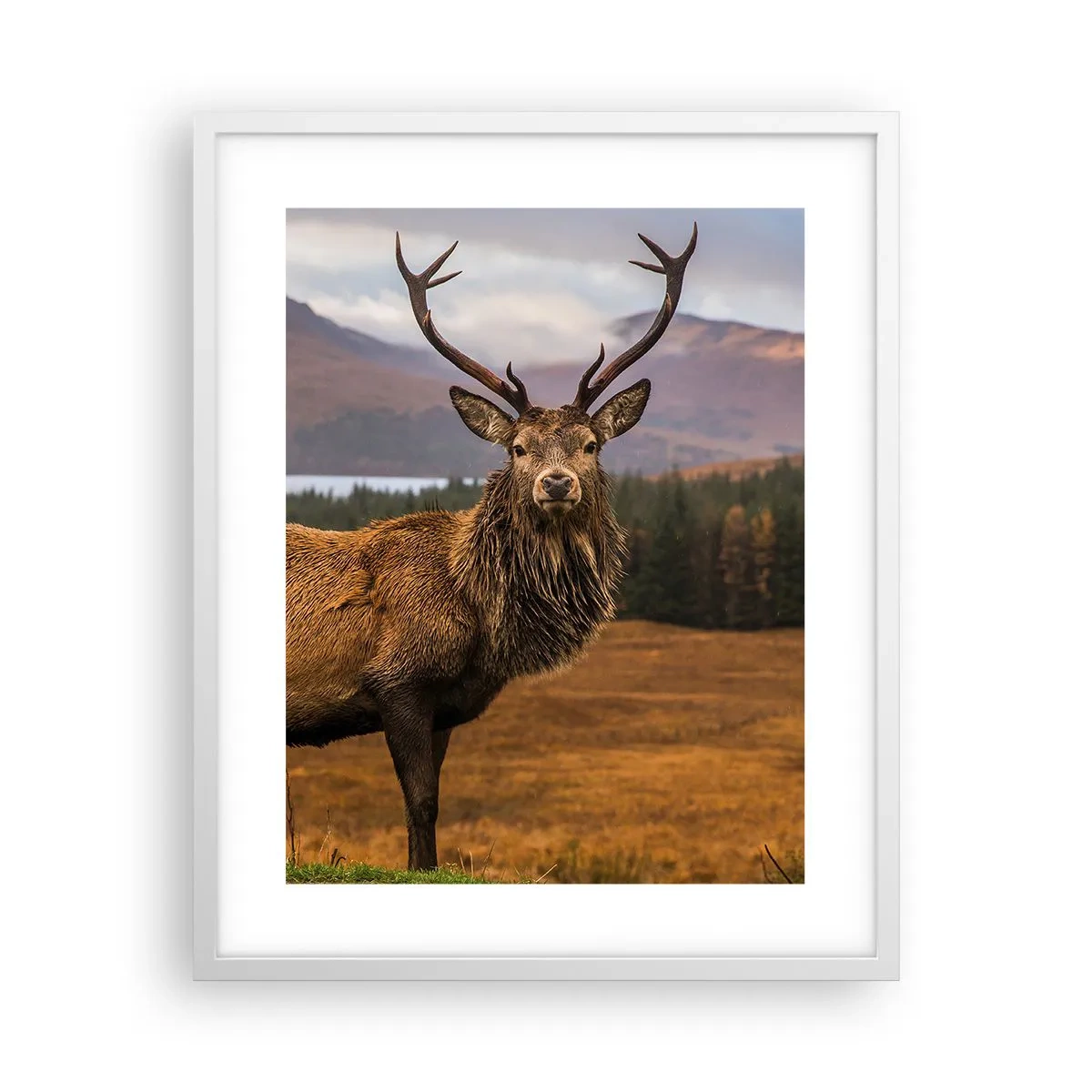 Poster in white frmae - Majesty of Nature - 40x50 cm