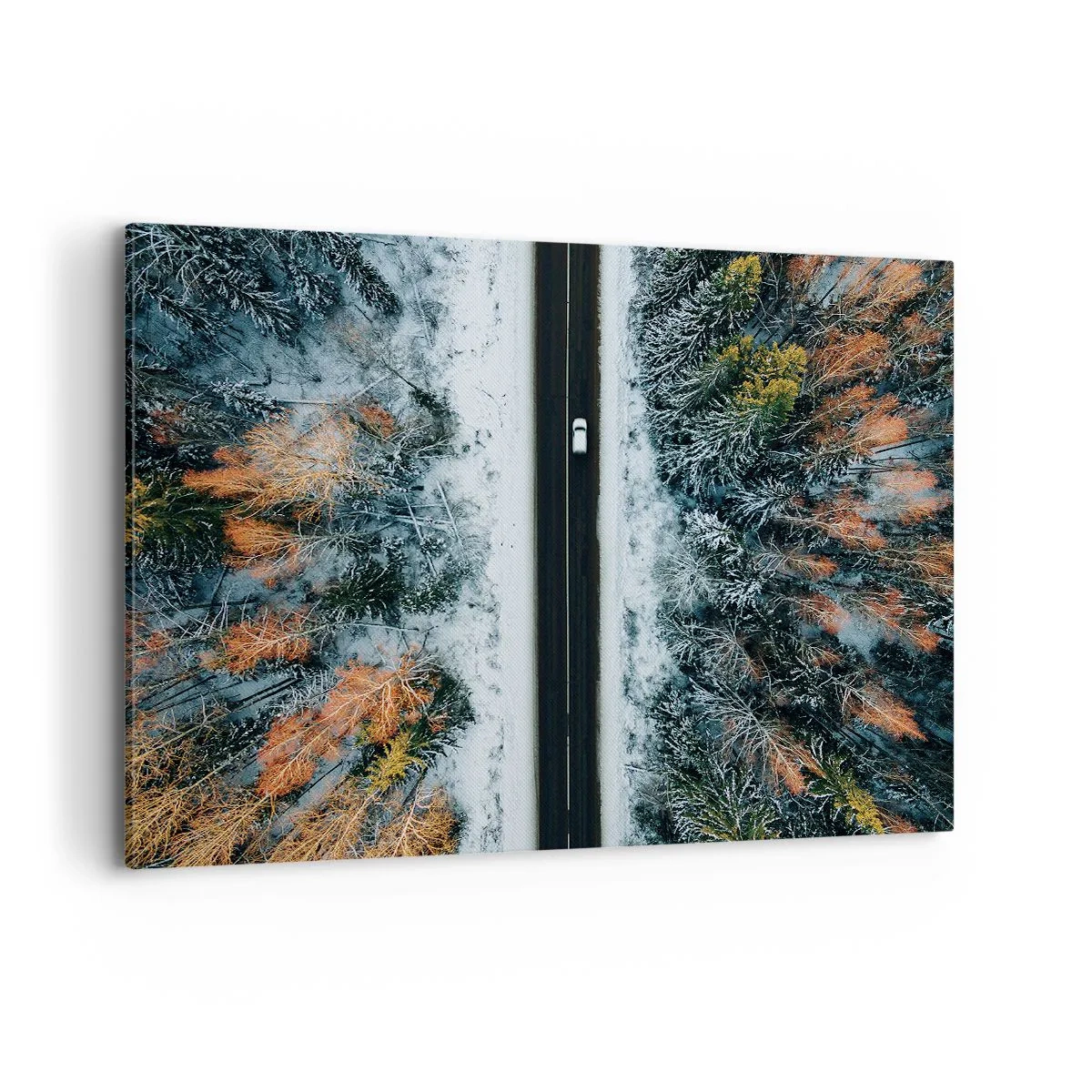 Canvas picture - Through a Wintery Forest - 120x80 cm