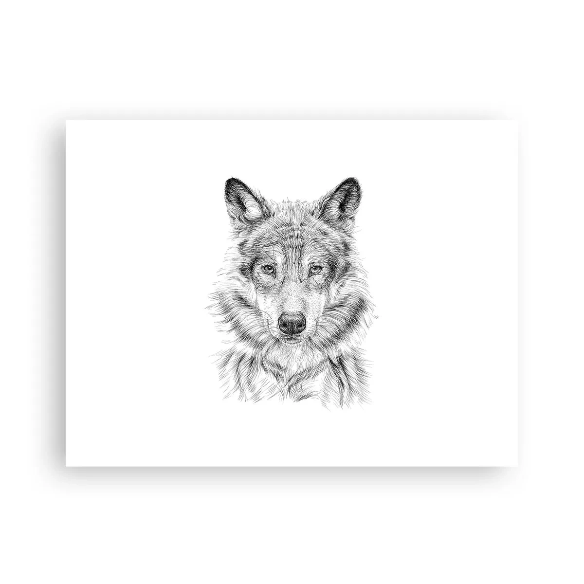 Poster - Born Leader - 40x30 cm